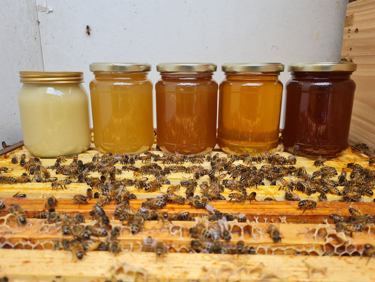 Honey from our apiary
