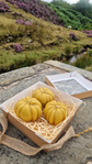 Pumpkin candles gift box
