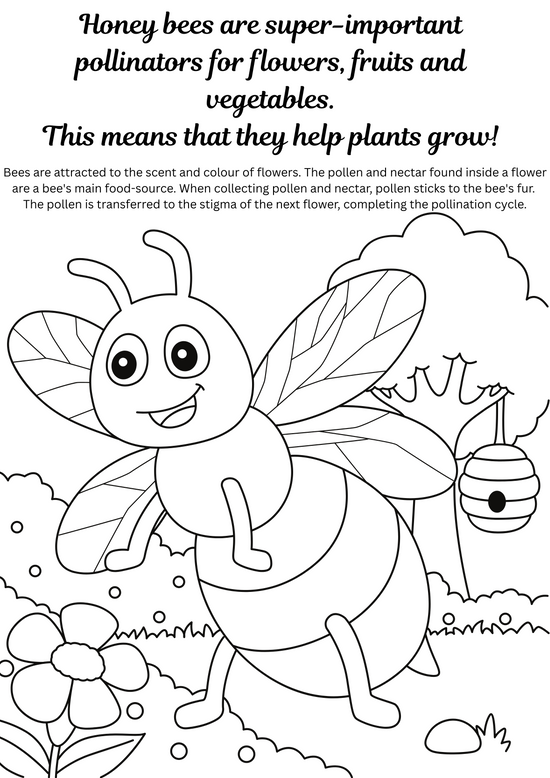 Free downloadable colouring activity for children - link in description