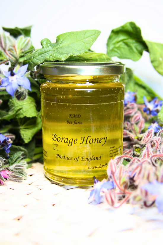 Borage honey