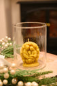 Light of Bethlehem candle